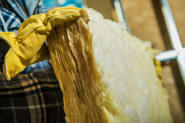 Best Local Insulation Services  in Galva, KS